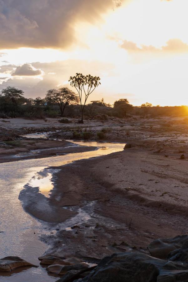 Sarova Shaba Game Lodge Archers Post Esterno foto
